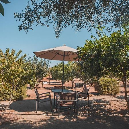 Hotel Castillo Ferrer Valle de Guadalupe Esterno foto