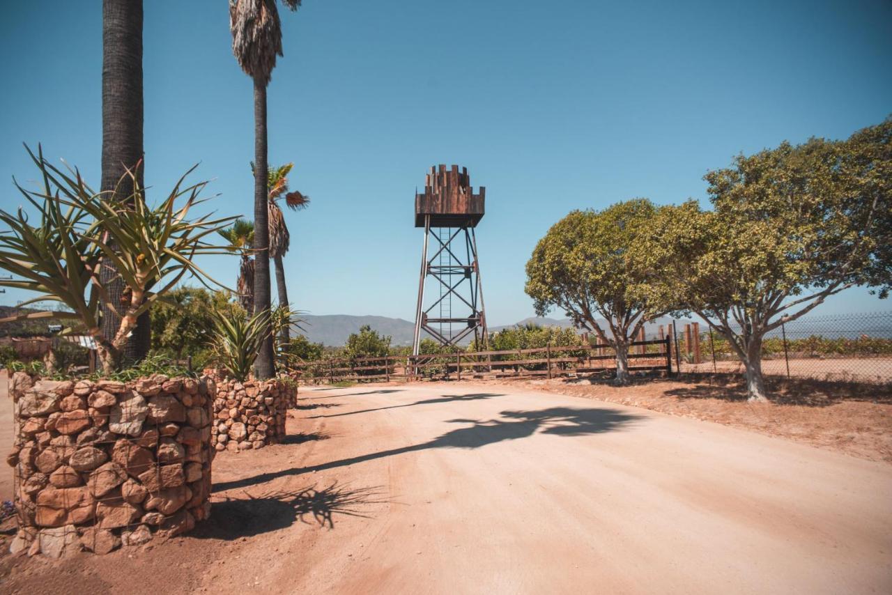 Hotel Castillo Ferrer Valle de Guadalupe Esterno foto